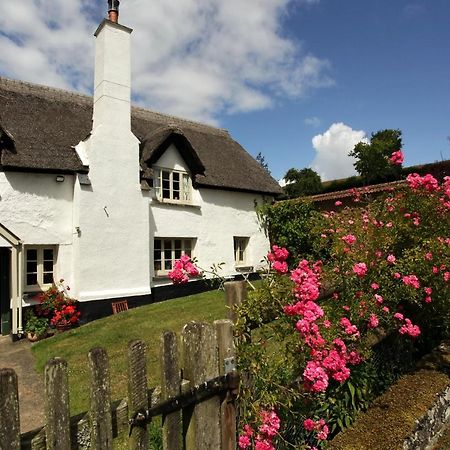 Brook Farmhouse Tedburn Eksteriør billede